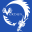 Home - Verdun Dragon Boat Club