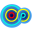 VisuMap Technologies: Visualizing high dimensional complex data