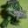 Wargame Tactics Top -