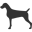 WCNI – Weimaraner Club of Northern Illinois