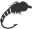Wellington Flyfishers Club Inc. – New Zealand