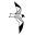 Western Birds | Western Field Ornithologists