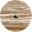 Where the Pavement Ends – Where the Pavement Ends is Erika Warmbrunn's award-winning account of her 8-month, 5,000-mile solo bicycle journey across Mongolia, China and Vietnam.