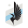 Wisconsin United FC › Northeast Wisconsin's Best Soccer Club