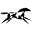 World Class Equine