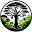 The Tropical Rainforest