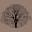 World Sensorium / Conservancy
