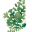 The Weeds Society of Western Australia Inc