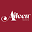 Your One-Stop Shop for Musical Instruments - Aileen Music