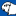ACBA| American Cavy Breeders Association