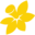 Cancer Council ACT