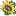 Advanced Embroidery Designs