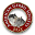 Gerbil Care Guide | The American Gerbil Society | United States