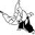 Kyu Shin Do Aikido Home Page