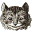 Alice in Wonderland.net