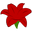 Amaryllis Bulbs, Amaryllis Flower Bulbs - Amaryllis Bulb Company – Amaryllis & Caladium Bulb Company