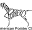 www.americanpointerclub.org