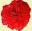 Amity Heritage Roses