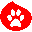 Animal Life Stream