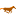 The Animated Software Company
