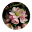 Apple Valley Review | Home
