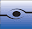 Southern Eye Associates › Ophthalmology, and Cataract Surgery at Jonesboro AR - Ophthalmologist Kennett MO