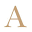 Arocha Hair Restoration: Hair Transplant in Houston, TX
