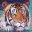 Art of BAS Wildlife & Nature Paintings | Art & Conservation