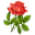 Art Of Flower ร้านจำหน่ายและจัดช่อดอกไม้ : Inspired by LnwShop.com
