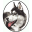 Arizona Siberian Husky Rescue & Adoption