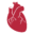 ASNC - American Society of Nuclear Cardiology
