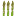 AAC | Australian Asparagus Council Home page