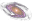 AUTH: Section of ASTROPHYSICS, ASTRONOMY & MECHANICS