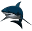 Atlantic Diver