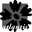 Atlantis Flowers | St Leonards | Lower North Shore Florist
