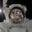 Auriga Astronomy – Over 18 yrs of quality Education Services to Schools