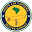 Axé Capoeira Chicago - Voted #1 Chicago Capoeira School