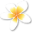 www.baliscuba.com