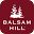 Clearance Sale 2024: Christmas Trees & Décor | Balsam Hill