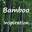 Bamboo Plants | Bamboo Inspiration