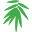 Bamboo Society of Australia