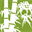 American Bamboo Society – American Bamboo Society – Bamboo is more than just panda fodder