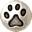 Bearpaw Shilohs – family raised for an outstanding companion