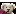 Bears and Beyond: Canada's Internet Teddy Bear Site