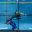 Beast Hold -