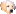 Bella Aurea - zlatý retriever, rodinná chovateľská stanica