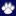 Berwick Dawgs | Your Ultimate Guide to the World of Dog Sports