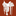 Bethel Saddlery | Custom Made Saddles, Saddlery and Gift Shop