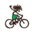 St Lucia Jungle Biking | Bike St Lucia | Mountain Biking
