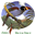 BIRD LIST: HOW MANY BIRDS IN THE WORLD?